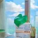 제이덴탈 이미지