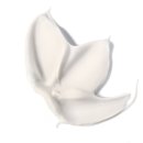 유스약국 이미지