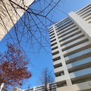 고무래로8길 6-1 이미지