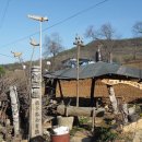 진또배기 이미지