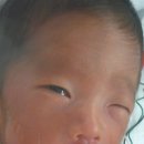 큰둥이