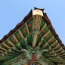 정국량 효자각 이미지