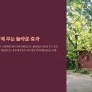 친환경 황토집 건강 비밀 총정리