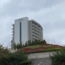 신평동1048 | 경주 라한셀렉트 호텔 디럭스 트윈룸 숙박 후기 (룸 컨디션, 베이비크립 대여)