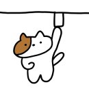 푸푸커피(FUFU COFFE 이미지