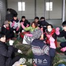 부안육묘장 이미지