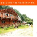 스윗트리펜션 이미지