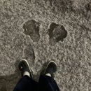 다섯 달 동안의 나날 :v