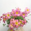 엠에이치알 이미지