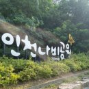 인천나비공원 티스토리