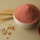 영양제분소 이미지