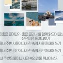 시를 쓰는 즐거움 이미지