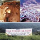 무척사랑영농조합법인 이미지