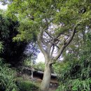 의령 운곡재 이미지