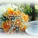 내인생의 봄날 이미지