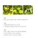 중성동113 이미지