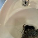 (주)기장사람들 태양광발전소 | 신림역 미용실 어바웃9, 장발 레이어드컷 추천