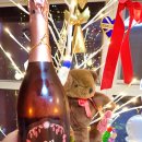 연(緣) | 연말파티와인 추천｜한국 스파클링 와인 ‘오미로제 연(緣)’ 후기