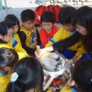 청정신흥마을 이미지