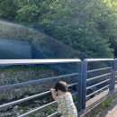 순성세차장 이미지