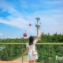 ㈜브이카 이미지