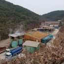 박진농장 이미지