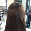 트레보헤어 이미지