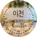 은혜프라미스 이미지