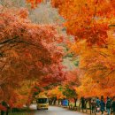 행정사사무소 사람과 사람 이미지