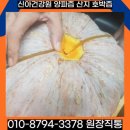 서천건강원