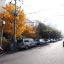 우방청자 이미지