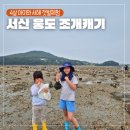 서산 웅도 갯벌체험 4살아이와 함께한 서해 조개캐기 후기(준비물, 물때)