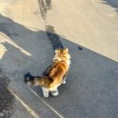 제주리브 | 제주 한달살이 제주도 애월 숙소 리브애니웨어 후기