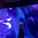 (주)왕왕 이미지