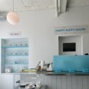 큐티퍼피 이미지