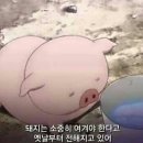 라화쿵푸마라탕 이미지