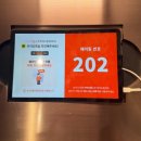 원미사랑약국 | [알파드라이브원] 두 번째 시도 끝에 성공한 하이디라오 ALD1 알디원 세트 (씬롱 소스, 1차 굿즈 후기)