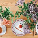 비둘기미용실 이미지