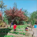 난향동-1 이미지