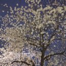 장자대로 이미지