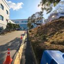 창이 작은도서관 | 전주 완산도서관 후기｜카페인 줄 알았던 전주시립도서관