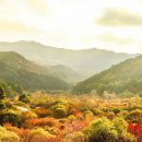 비밀의 정원 이미지