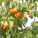 함평골프연습장 이미지