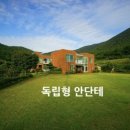 묵방산들국화 이미지