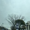 팔마테니스장 이미지