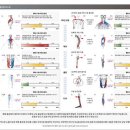 마스터PT 운동과학센터 이미지
