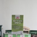 데일리리서치 | 고려은단 식물성 퓨어 알티지 오메가3 혈행 건강 챙기는 엄마의 데일리 루틴 후기