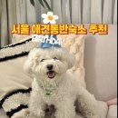펫마트상도점 | 서울 동작구 애견동반 감성숙소 에어비엔비 추천 내돈내산