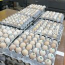 용계농장 이미지