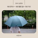 프리미엄 리젠시 초경량 풀카본 장우산 솔직 후기